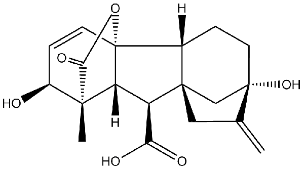 赤霉素GIBBERELLIC ACID，居然有這么神奇？